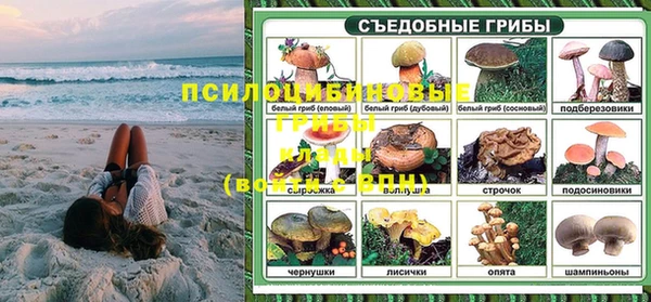 ПСИЛОЦИБИНОВЫЕ ГРИБЫ Алексин