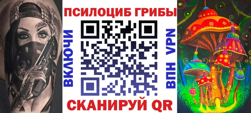 Псилоцибиновые грибы Psilocybe  закладка  Фролово 