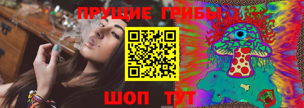 Фролово  Псилоцибиновые грибы мухоморы  Вход с VPN 